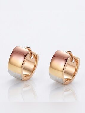 Thick Hoop Earrings | 18K Gold Plated Multicolor Minimalist Dainty Jewelry